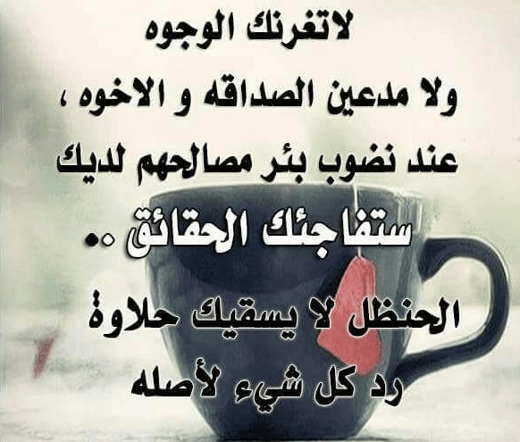 كلام من صميم الواقع