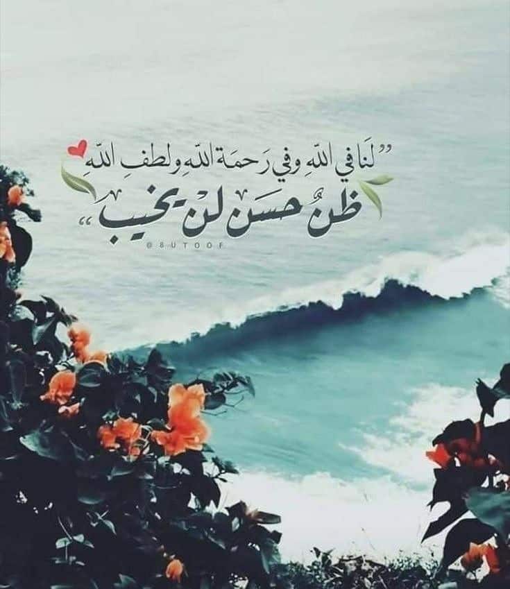 كلام يبعث الامل