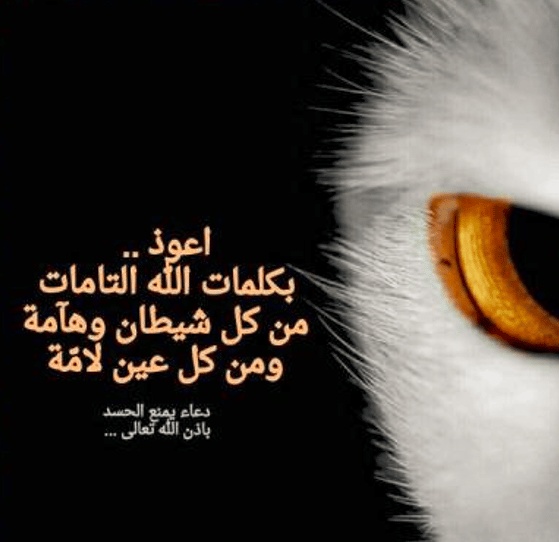 كلام يبعد الحسد
