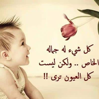 كلام يبهر الجميع