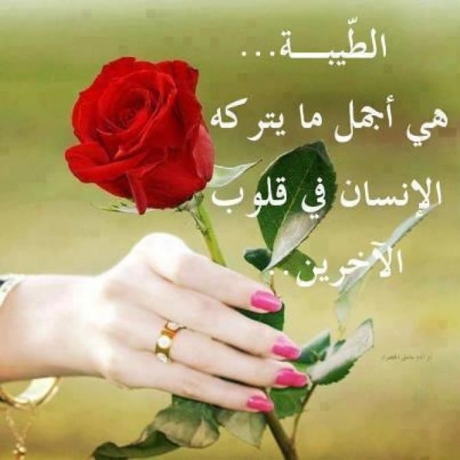 كلام يبهر الجميع