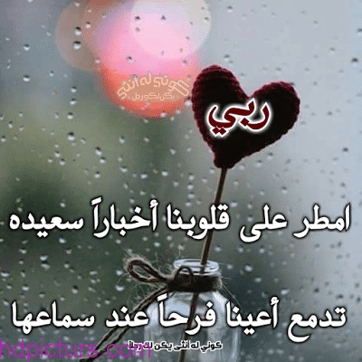 كلام يبهر الجميع
