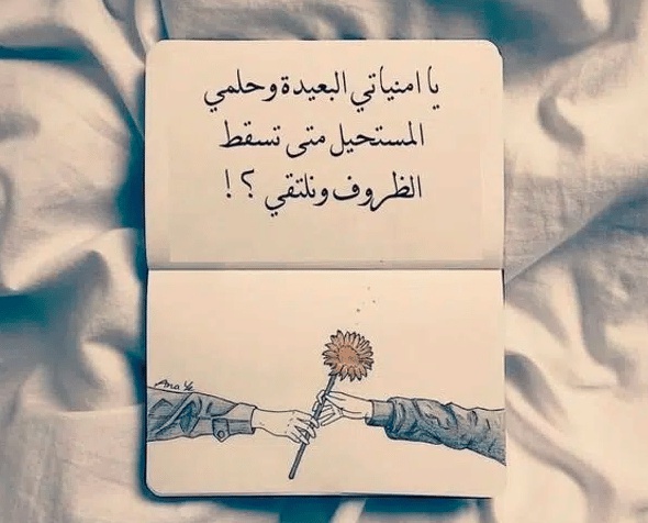 كلام يبهر الجميع