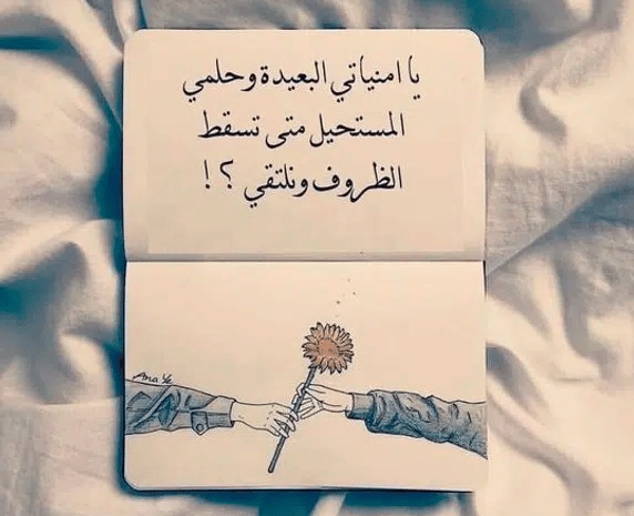 كلام يحير الجميع