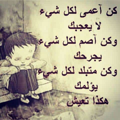 كلام يحير الجميع