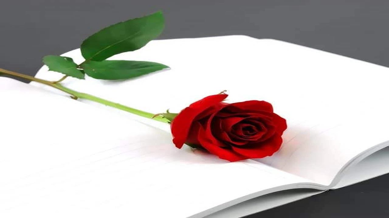 صورة كلام يفرح القلب