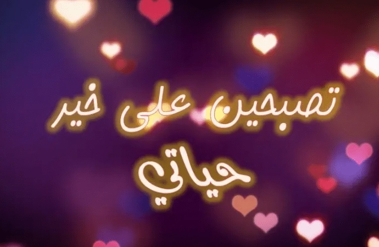 كلام يقال للحبيب قبل النوم