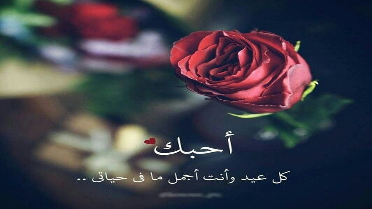 صورة كلام يقال للحبيبة في عيد ميلادها