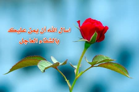 كلمات ترفع معنويات الحبيب