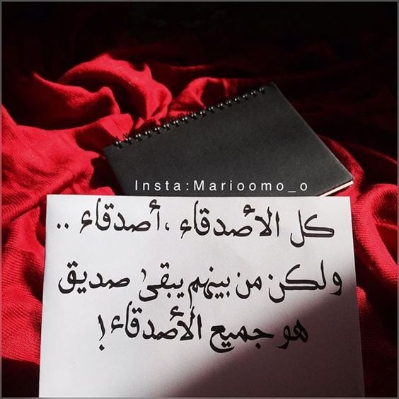 كلمات عن الصداقة
