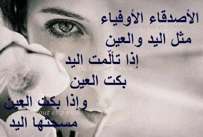 كلمات عن الصداقة