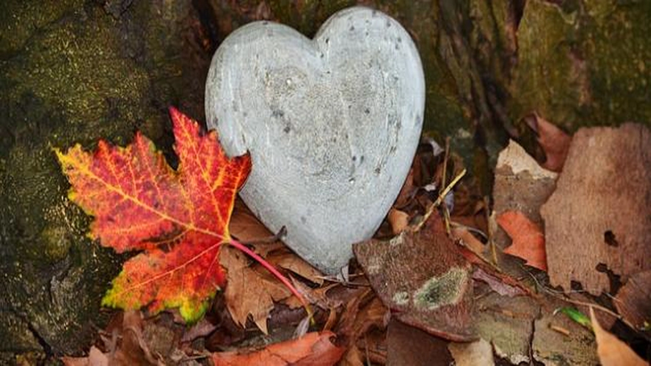 صورة كلمات عن تغير القلوب