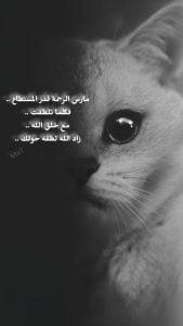 كلمات معبرة عن الرحمة