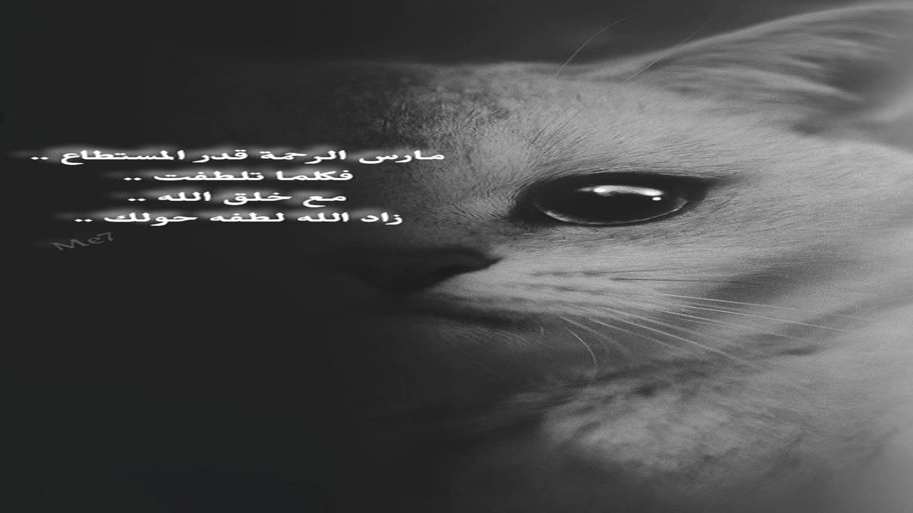 صورة كلمات معبرة عن الرحمة