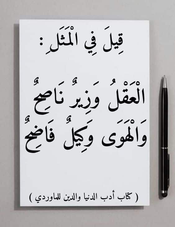 كلمات وحكم عن العقل