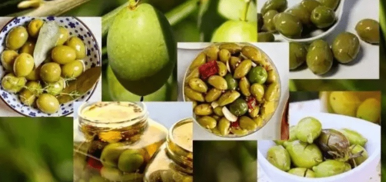 كم يحتاج كيلو الزيتون من الملح