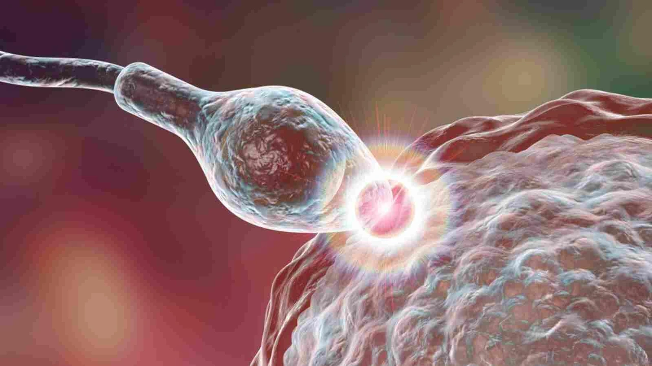 صورة كيف اعرف أن البويضة تلقحت من اول يوم