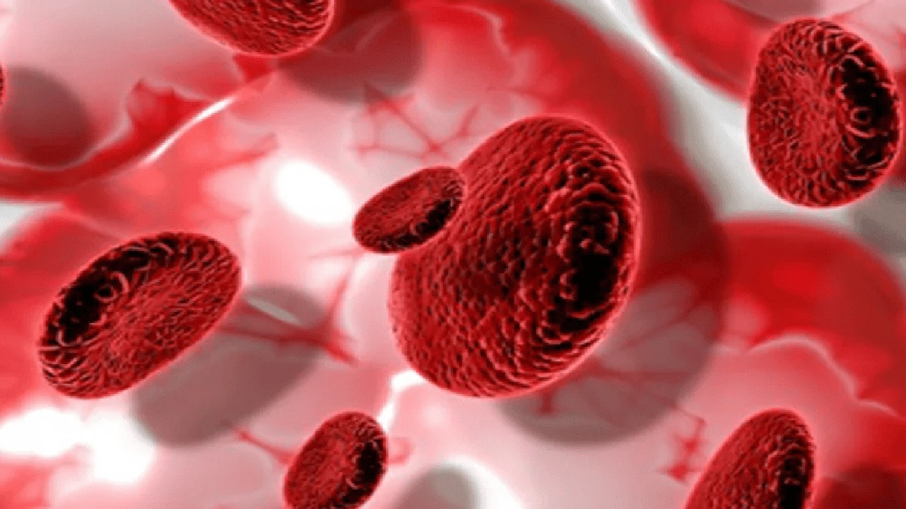 صورة كيف اعرف اني عندي فقر دم