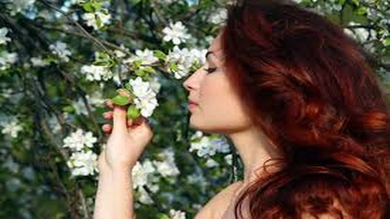 صورة كيفية استخدام الحناء لنمو الشعر