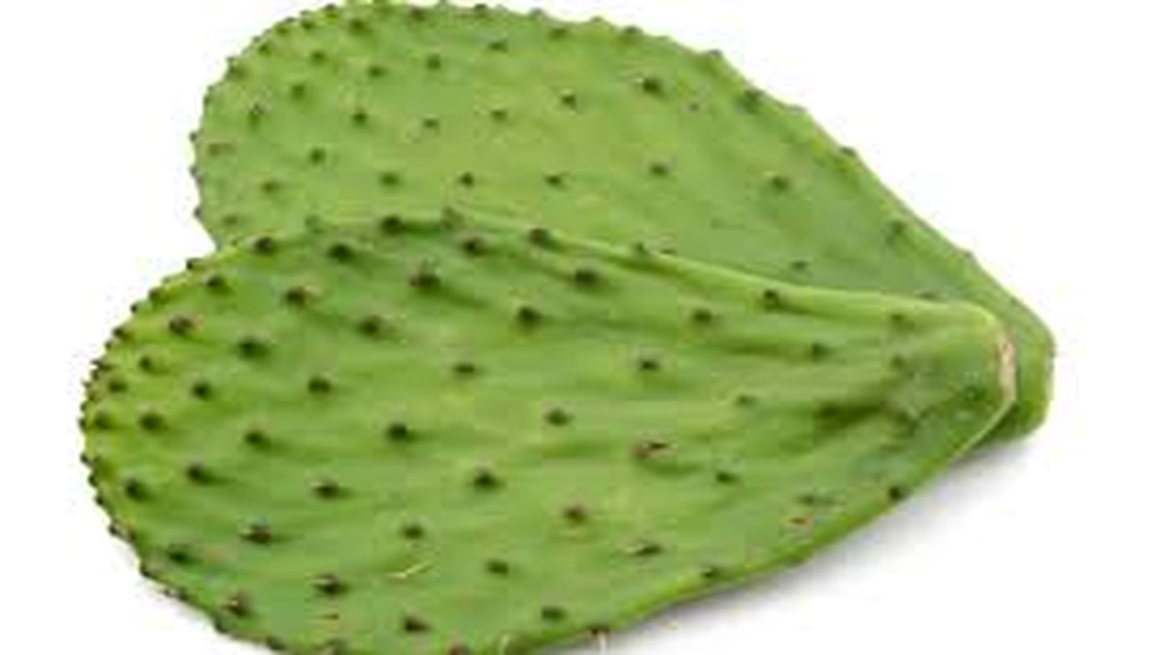 صورة كيفية استعمال اوراق التين الشوكي للبشرة والشعر - كيفية استعمال التين الشوكي للبشرة والشعر