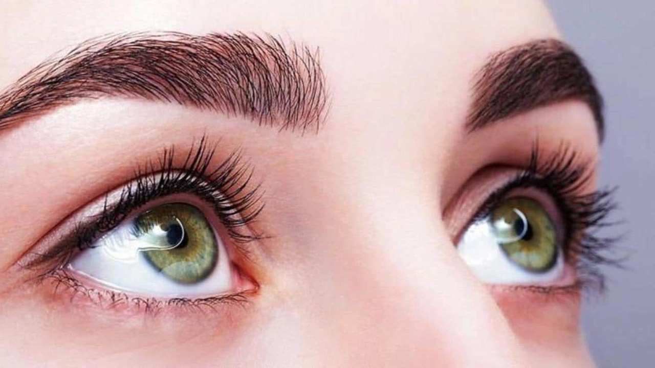 صورة متى تظهر نتيجة زيت الخروع للحواجب