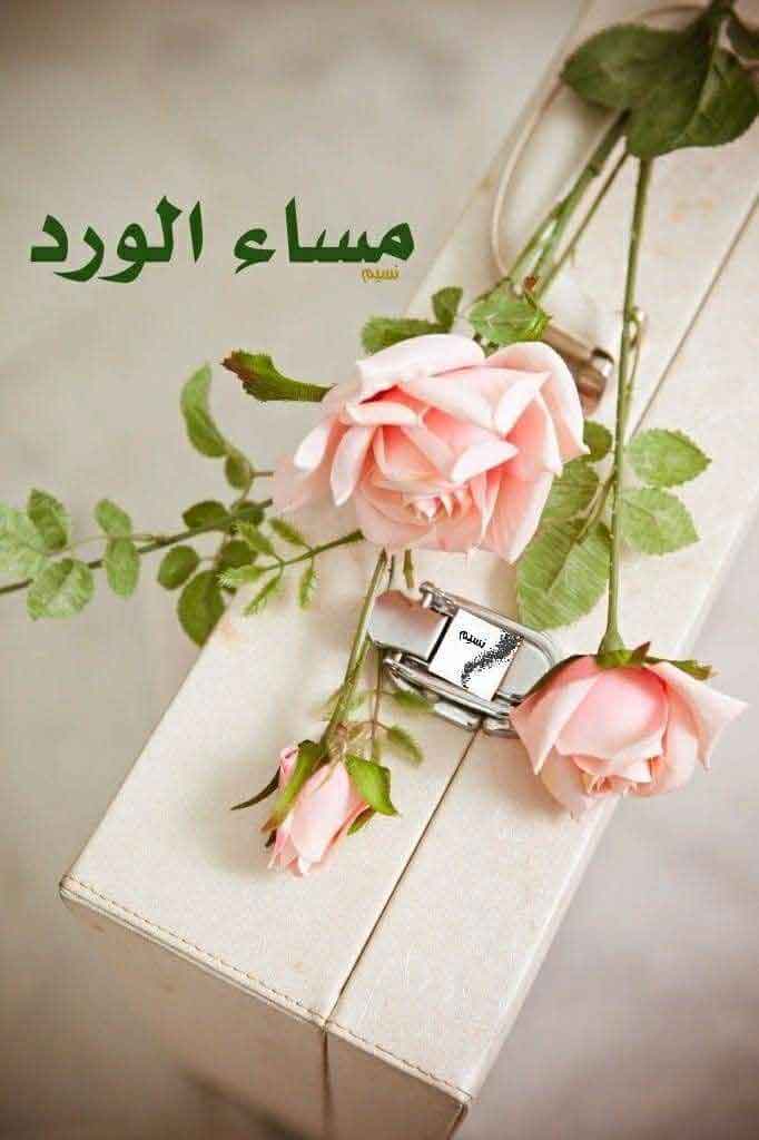 مساء الخير والعافية