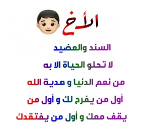 مسجات عن الاخ