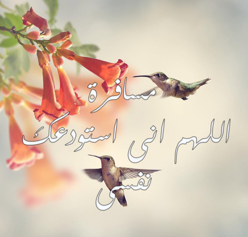 مسجات عن السفر