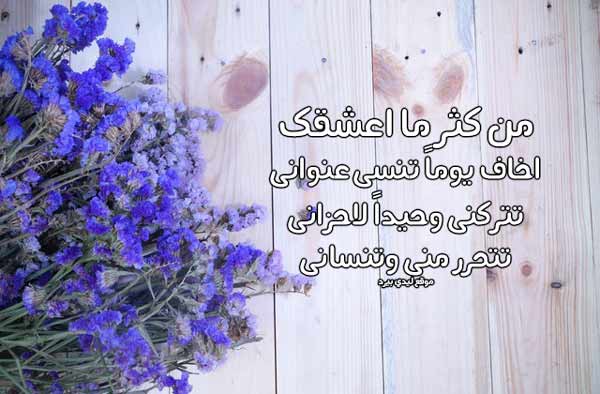 مسجات