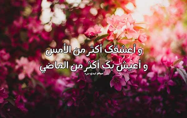 مسجات