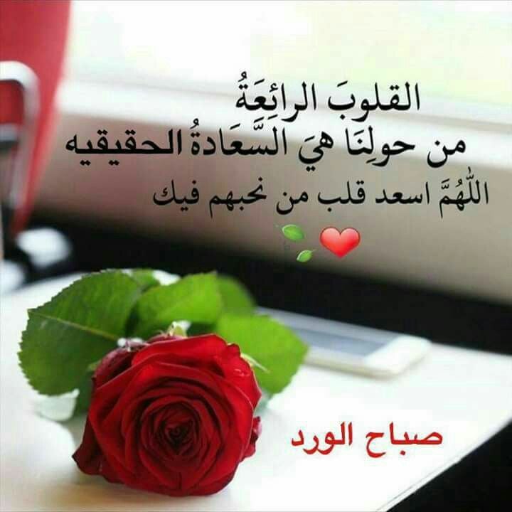 مسجات