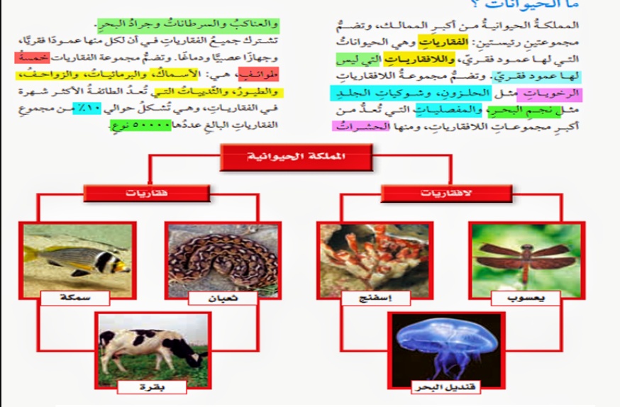 مطويات عن الثدييات