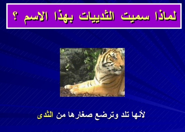 مطويات عن الثدييات