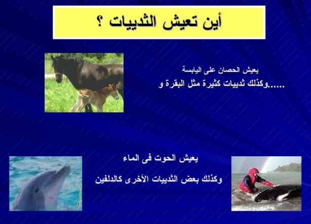 مطويات عن الثدييات