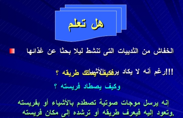 مطويات عن الثدييات