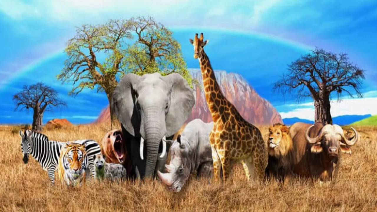 صورة مطويات عن الثدييات