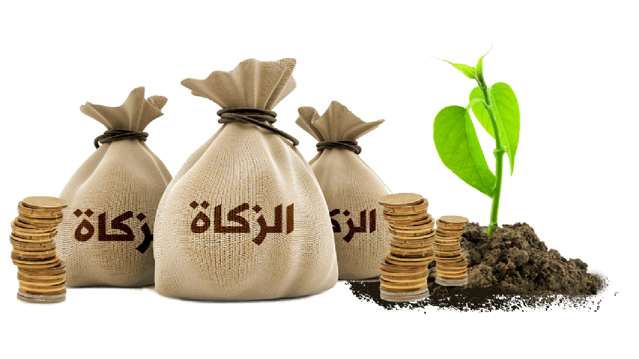 صورة مطويات عن الزكاة