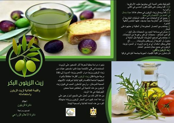 مطويات عن الزيتون
