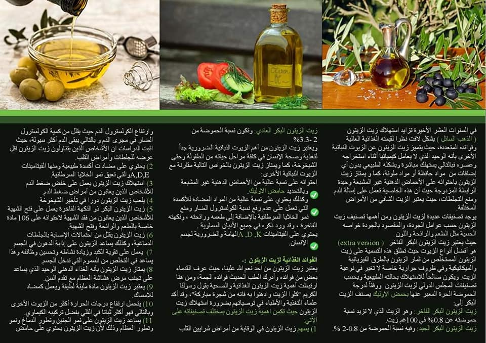 مطويات عن الزيتون