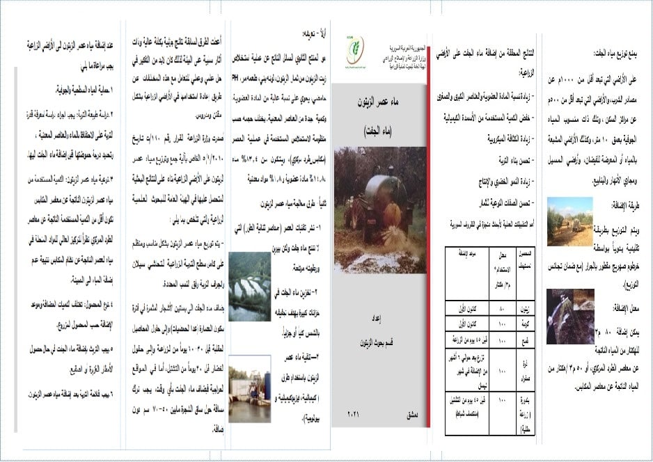 مطويات عن الزيتون