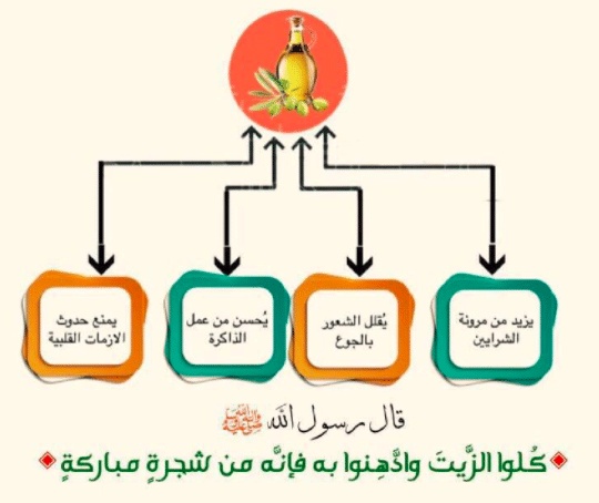 مطويات عن الزيتون