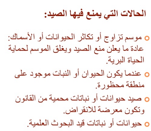 مطويات عن الصيد