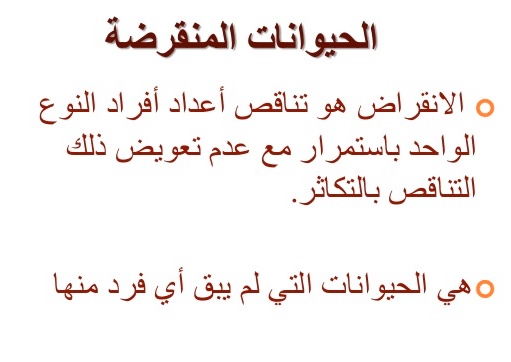مطويات عن الصيد