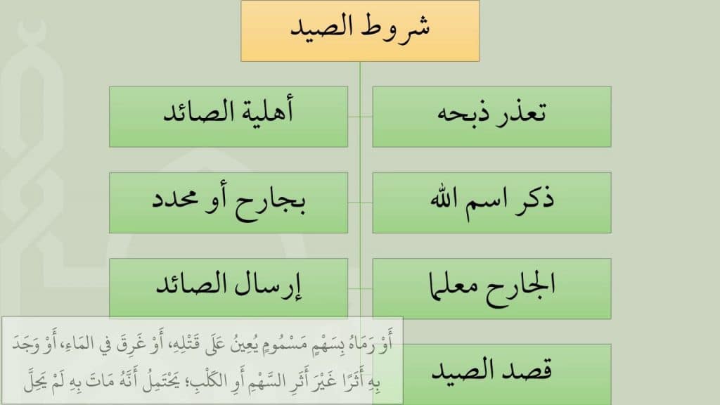 مطويات عن الصيد