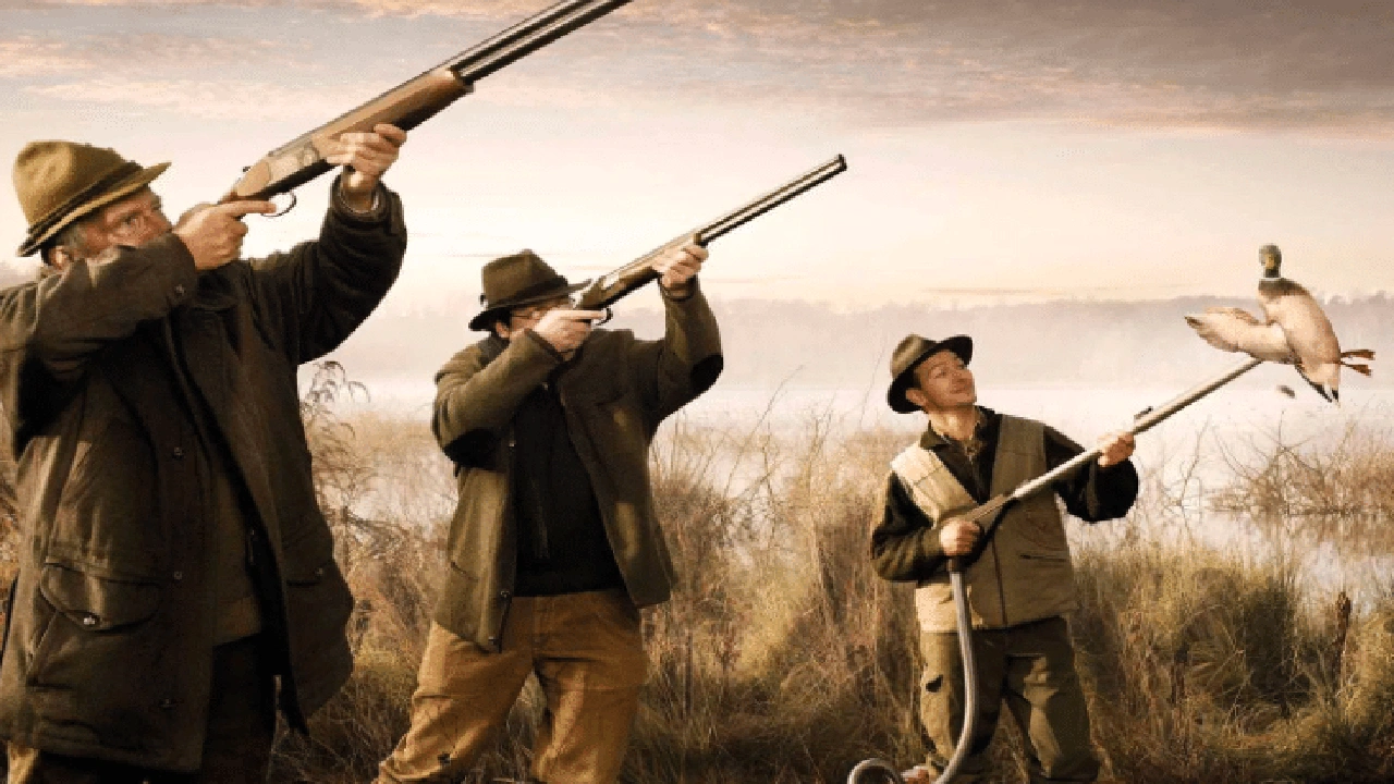 صورة مطويات عن الصيد