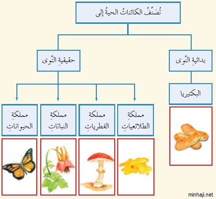 مطويات عن الكائنات الحية