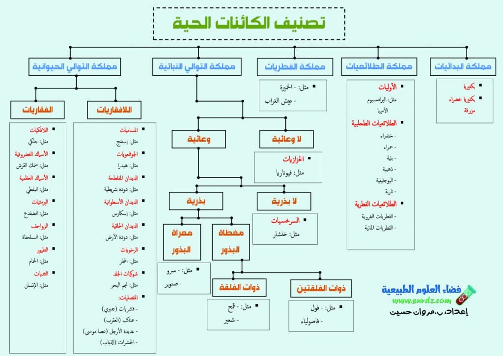مطويات عن الكائنات الحية