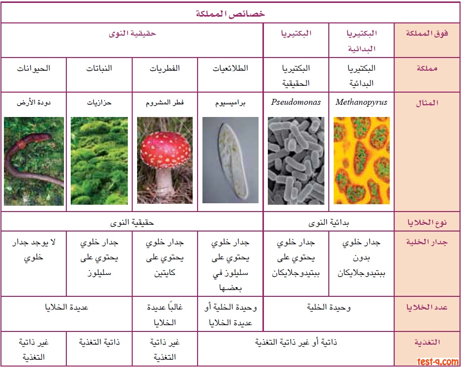 مطويات عن الكائنات الحية