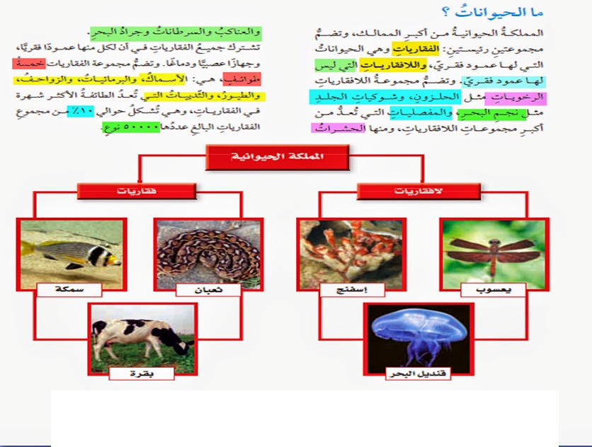 مطويات عن الكائنات الحية