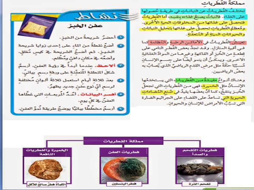 مطويات عن الكائنات الحية
